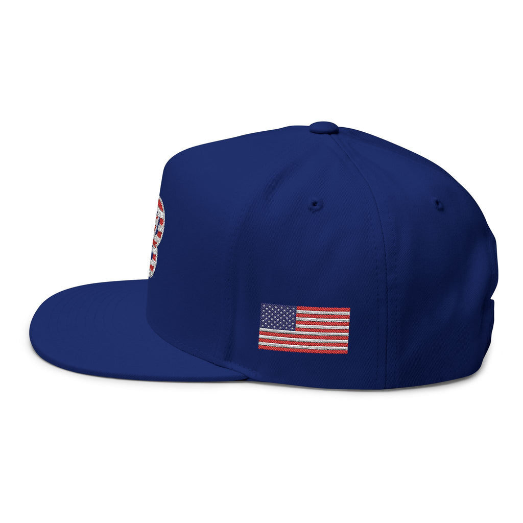 Biggins B USA Snapback